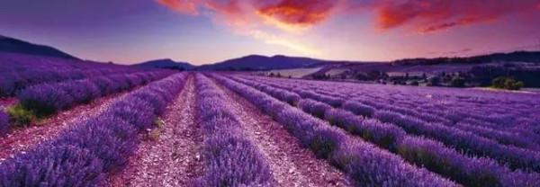 每日閱讀唯美詩詞