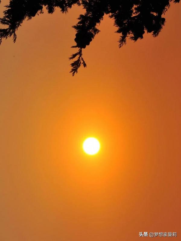 心理學自我認同感的重要性