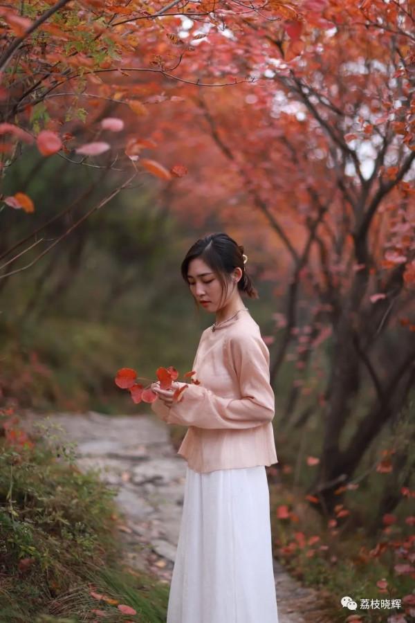 賞紅葉，不能早，也不能晚，時間一定要恰到好處