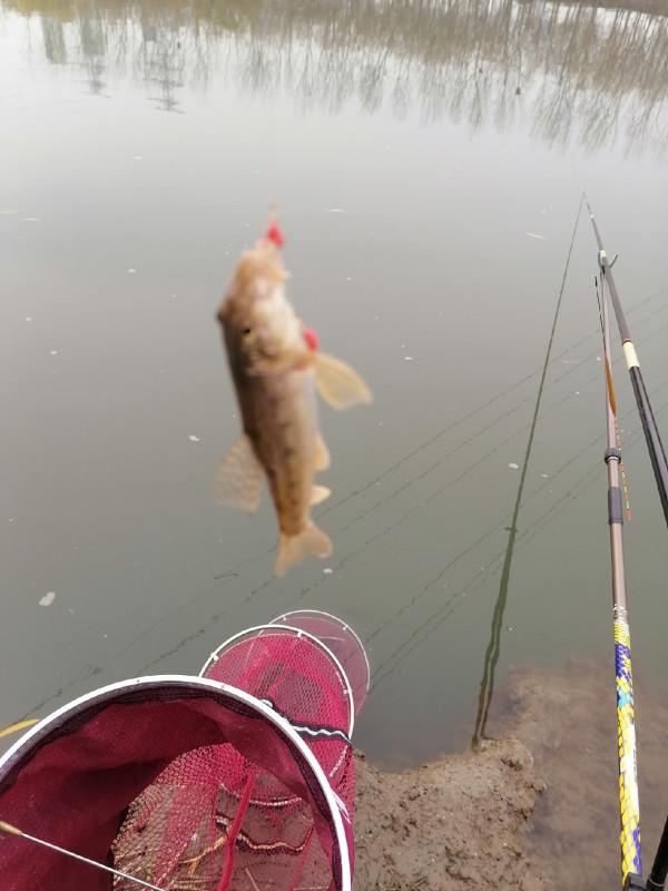 冬季怎麼釣魚，用餌和抓魚吃口才是關鍵