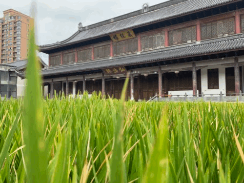 別再說什麼小京都了，寧波這些寺廟來打臉了