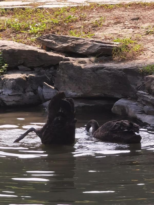 步入圓明園西區 皇帝的寢室