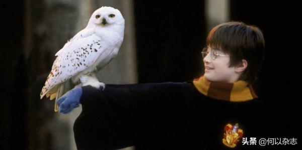 《哈利波特與魔法石》：幕後趣聞，關於電影你不知道的12件事