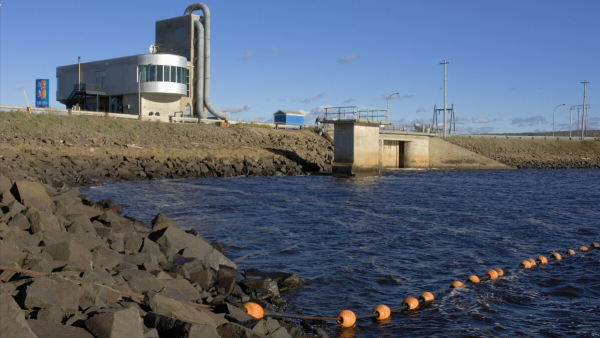 海底發電站是怎樣發電的？用動畫詳解發電原理，中國技術太牛了