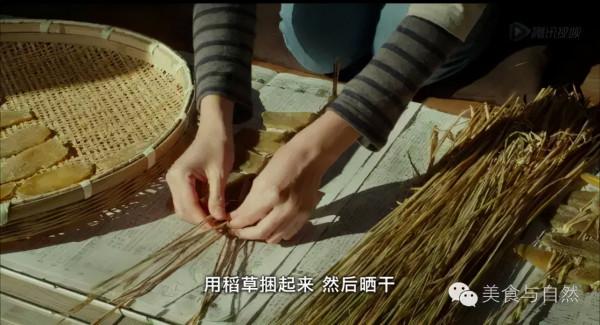 走進小森林之秋季篇