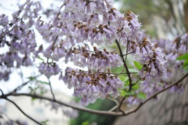 那個叫招娣的女孩，你過的還好嗎？