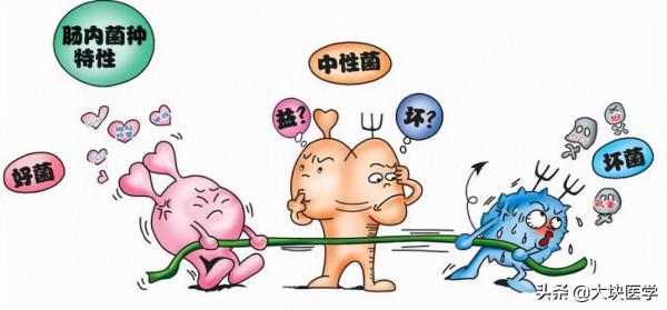 秋冬進補,來年打虎。老年人該如何進補? 秋冬進補,來年打虎。老年人該如何進補?