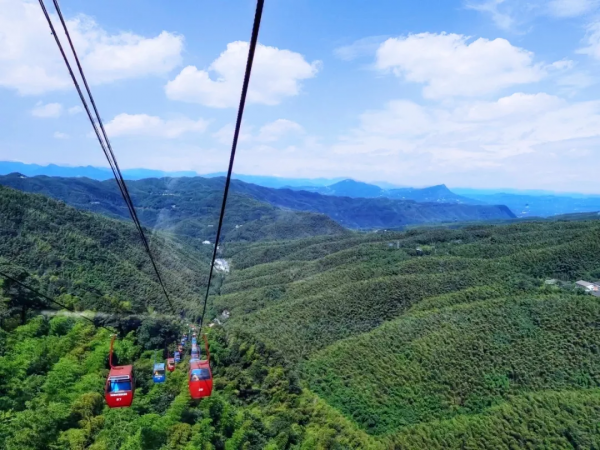 初秋來四川,帶你去看“海”!不信? 初秋來四川,帶你去看“海”!不信?