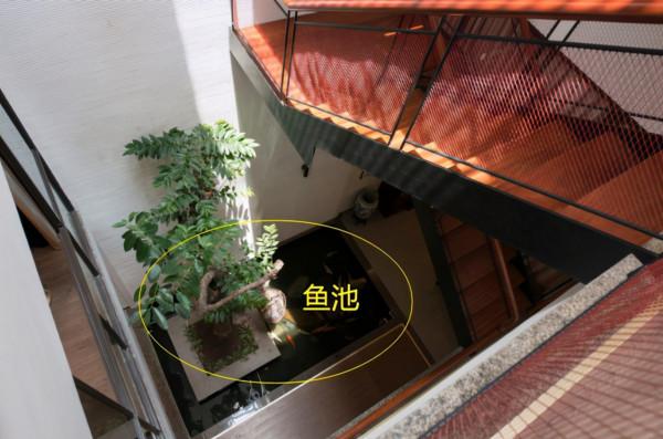別人看不慣的下沉天井，是我夢寐以求的，休閒會客養魚愜意無比