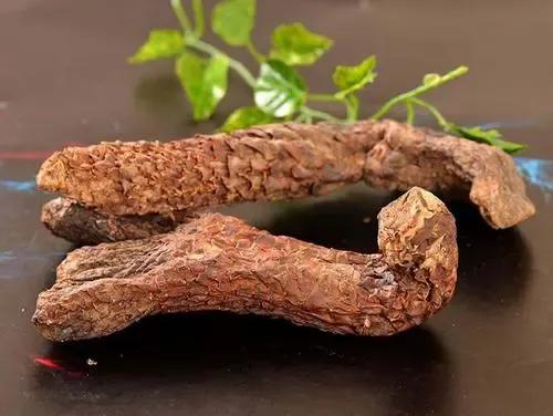 虛火內動，補腎清火反傷脾胃，遵《內經》：腎苦燥急食辛以潤之