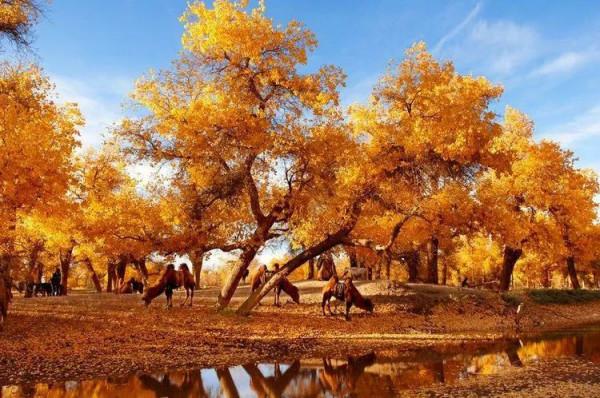 甘肅,不折不扣的“人間天堂”,25個景點美了千年,卻低調萬年~ 甘肅,不折不扣的“人間天堂”,25個景點美了千年,卻低調萬年~