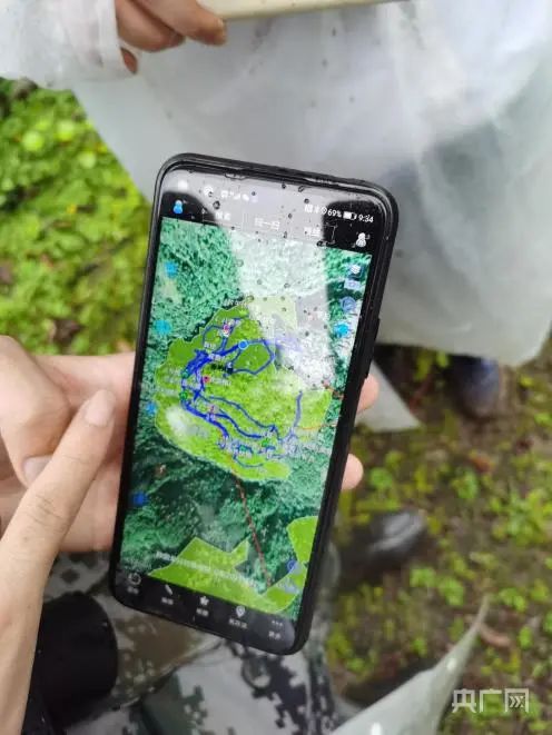 在雲南，當長臂猿“鏟屎官”是怎樣一種體驗？