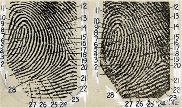 一斗窮、二斗富?康熙10個“簸箕”,中科院發現鬥與簸箕的奧秘 一斗窮、二斗富?康熙10個“簸箕”,中科院發現鬥與簸箕的奧秘