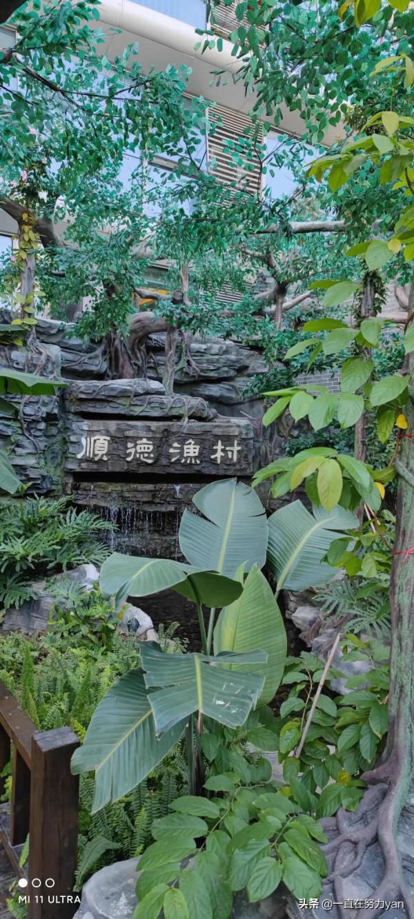 順德漁村漁人碼頭一日遊 順德漁村漁人碼頭一日遊