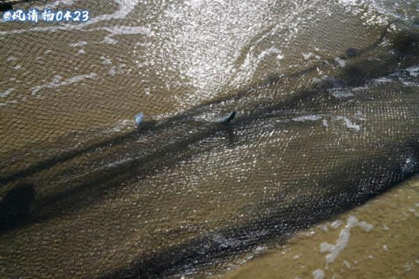 斷子絕孫網（21——341）