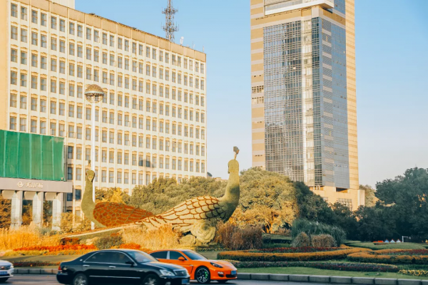 北京東路，喜提秋天