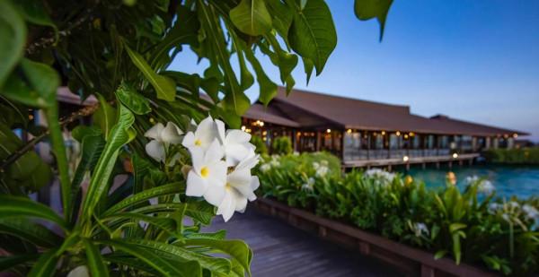 馬來西亞的巴沙島