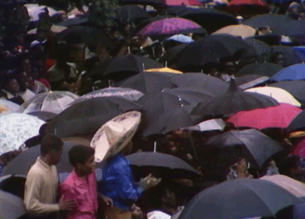 它比伍德斯托克寂寞