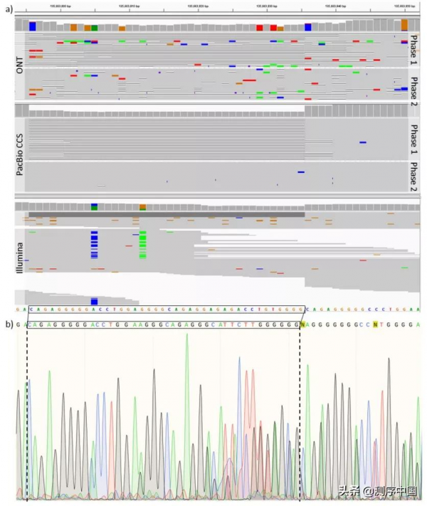 王凱團隊發表解析遺傳變異的深度學習演算法——NanoCaller 王凱團隊發表解析遺傳變異的深度學習演算法——NanoCaller