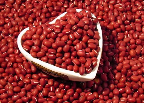 抗疫居家單方04