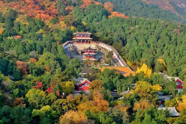 1949年，北平兩個警衛營突然兵變，目標是在香山辦公的毛主席