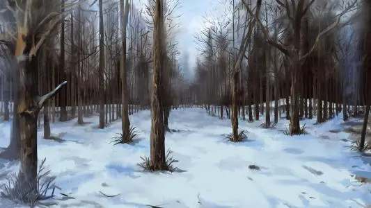 你看不懂的《林海雪原》 你看不懂的《林海雪原》