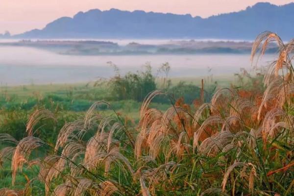 「打卡湖南」你瞧,湖南的秋天都在這 「打卡湖南」你瞧,湖南的秋天都在這