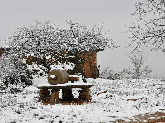 知青往事:北京知青娶了一個啞巴婆姨,老鄉都誇他實在可靠 知青往事:北京知青娶了一個啞巴婆姨,老鄉都誇他實在可靠