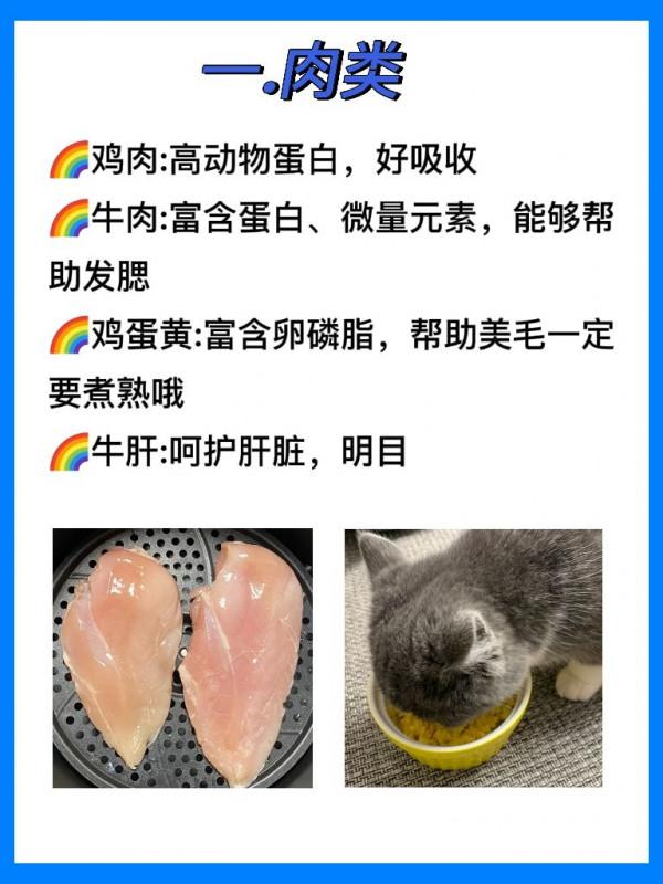 這些食物貓咪是能吃的，而且營養成分高