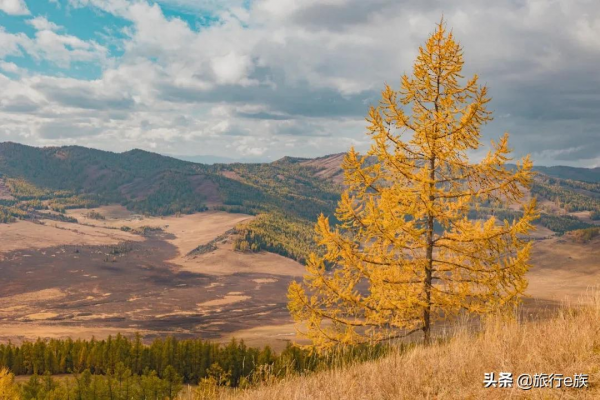 等一個人,陪我去北疆 等一個人,陪我去北疆