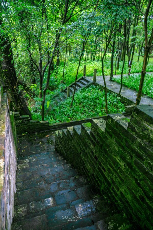 蜀道究竟有多難?人類最早的大型交通遺存之一,已有3000年的歷史 蜀道究竟有多難?人類最早的大型交通遺存之一,已有3000年的歷史