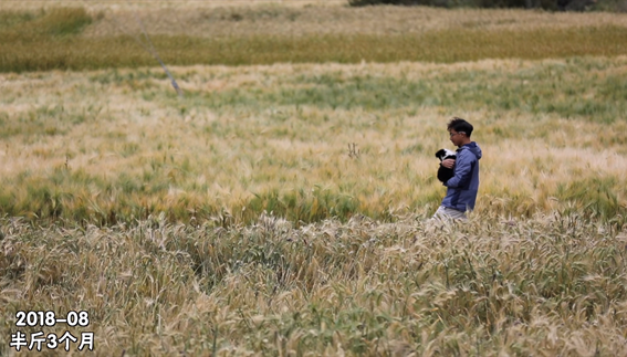 單身小夥帶狗遊遍中國大西南 從入不敷出到月入2萬