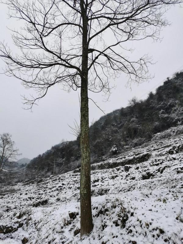 歸途——不可避免，我們離死亡越來越近