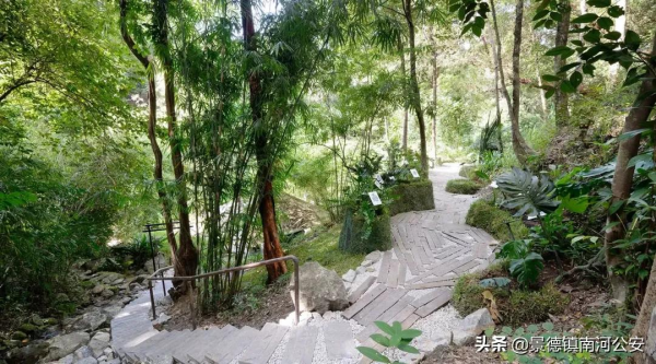 詩詞｜袁枚很有哲理的一首詩，語言清麗，影響後世二百年