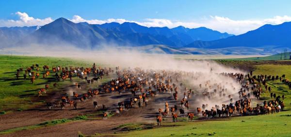 隋煬帝發了瘋一樣，尋著高句麗一頓猛打，他究竟是為了什麼？