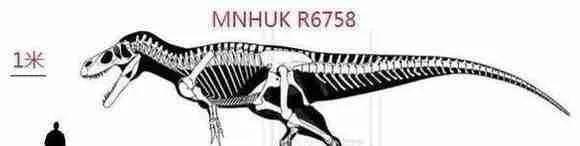 十大最強食肉恐龍 恐龍戰鬥力排名:棘龍、霸王龍、蠻龍 十大最強食肉恐龍 恐龍戰鬥力排名:棘龍、霸王龍、蠻龍