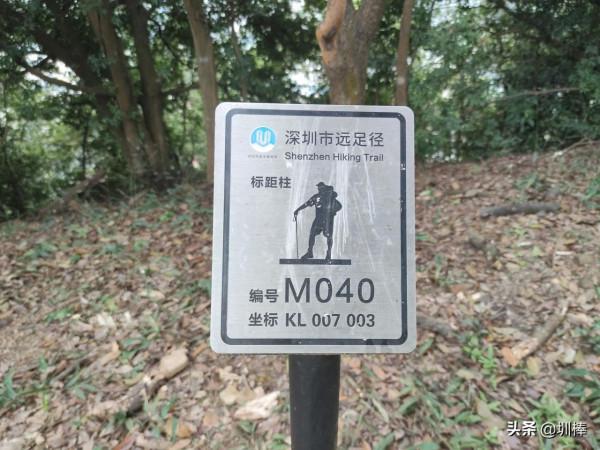 離羅湖、福田很近的銀湖山郊野徑，太適合週末徒步了