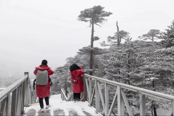 一夜之間 大理蒼山白雪茫茫