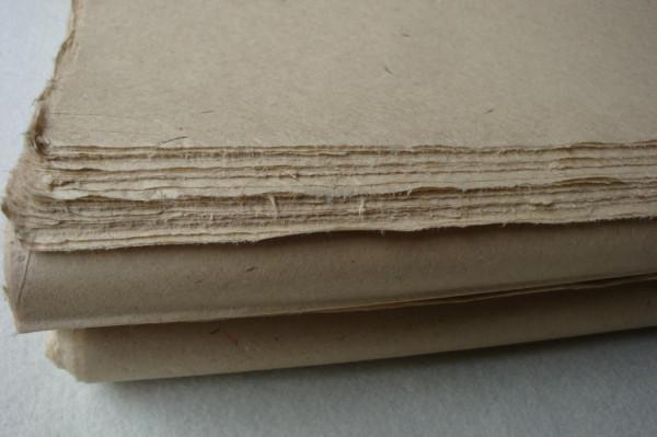 東莞的中國女首富，收破爛拿下世界第一，用美國的廢紙掙美國人錢