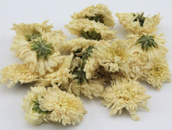 每日中藥——野菊花 每日中藥——野菊花