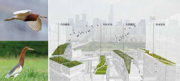 我走訪了很多深圳的中小學,幾乎每間教室都這樣:大白天的開著燈,然後拉著窗簾 我走訪了很多深圳的中小學,幾乎每間教室都這樣:大白天的開著燈,然後拉著窗簾