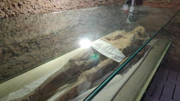 逛古墓看到了兩具乾屍,說是夫妻合葬,儲存得太完好了 逛古墓看到了兩具乾屍,說是夫妻合葬,儲存得太完好了