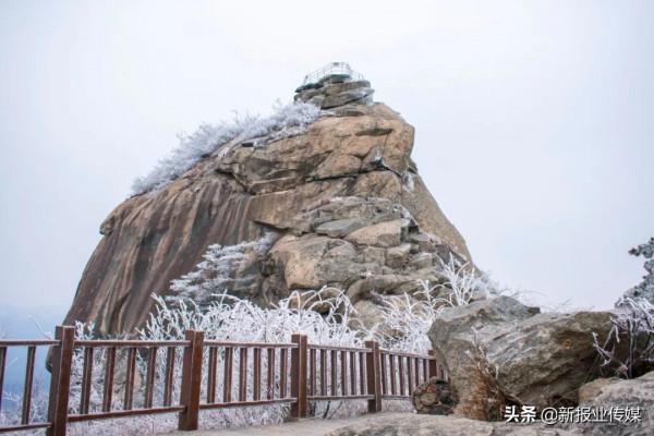 雪柳綻銀菊 玉樹煮瓊花—雞公山寫給冬天的詩