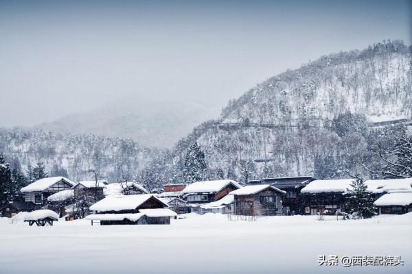 有人說日本比中國的貧富差距小，比中國社會更公平，真實情況呢？