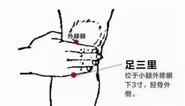 經常艾灸足三里，效果勝過吃老母雞