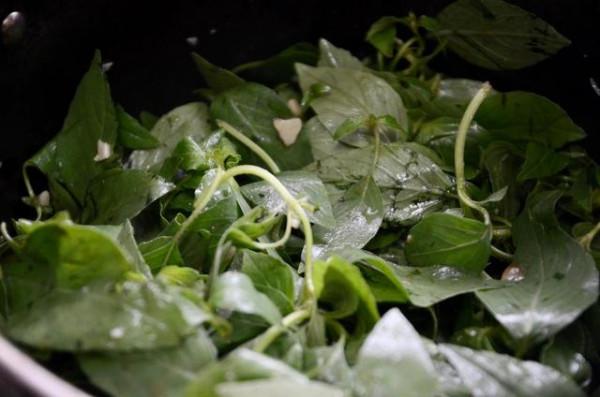 河南的八大“怪菜”,全是當地人的心頭愛,外地人看到卻無法下嚥 河南的八大“怪菜”,全是當地人的心頭愛,外地人看到卻無法下嚥