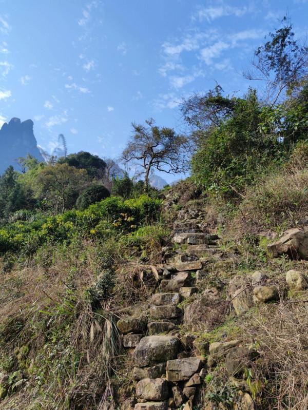 行走大瑤山