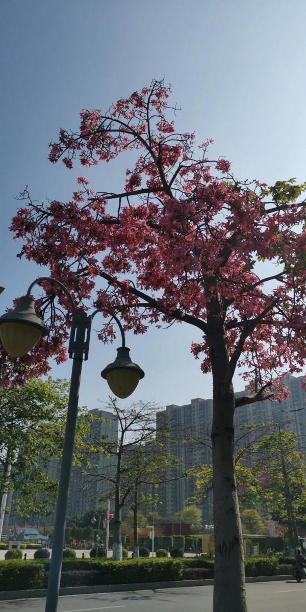 為你揭秘，為什麼歷史上一直是北方人統治南方人？