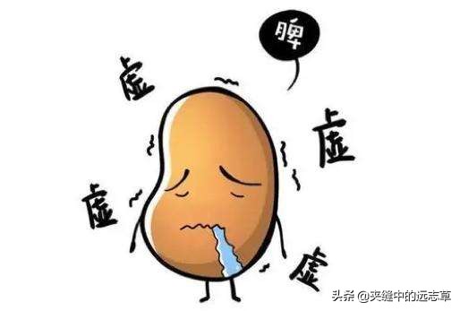 講兩個中成藥，給怎麼吃都吃不胖的瘦子增增肥