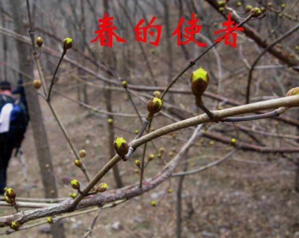 我的驢行日記——禹西老王溝